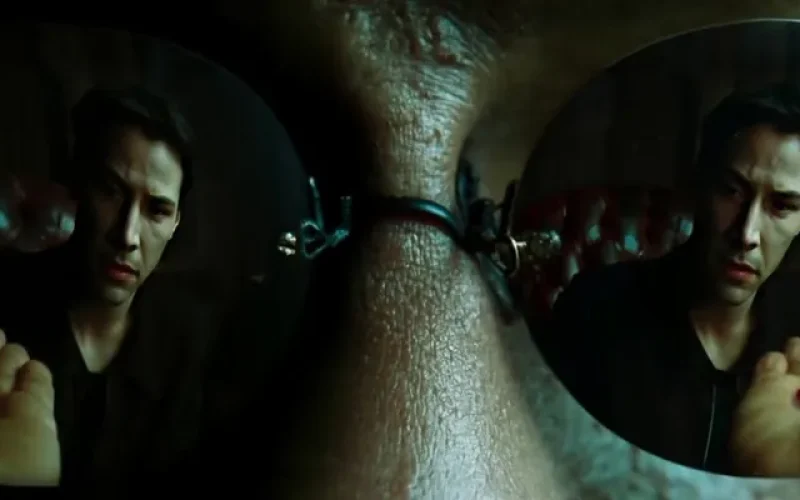 Como Ficar de Olho em Vendedores de Curso nas Redes